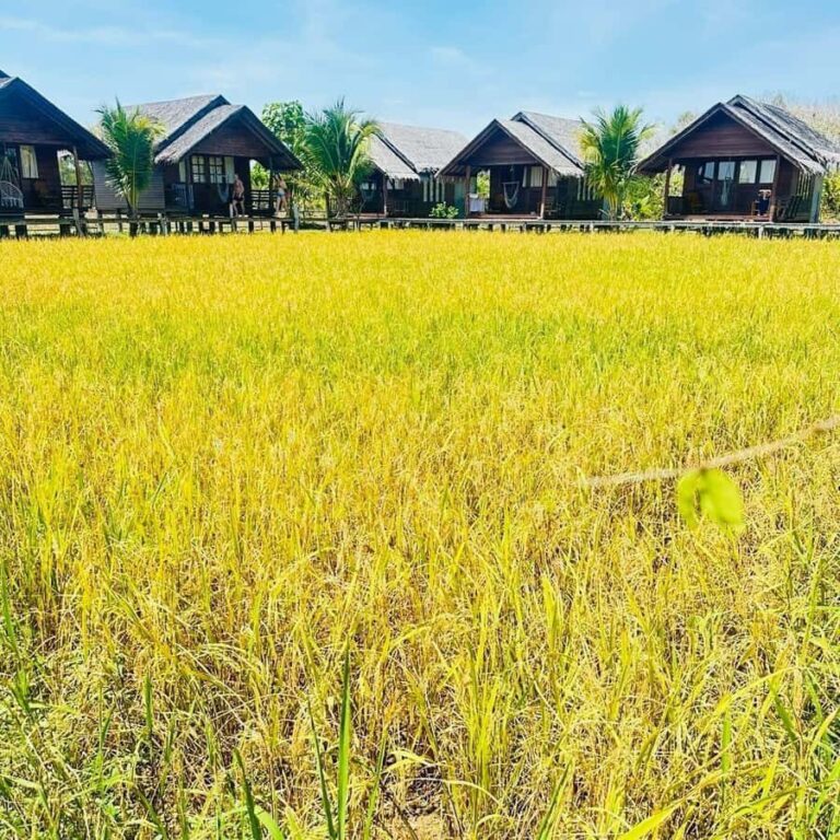 Phuket to Krabi: Koh Hong, Koh Yao & Lao Lading Tour - Transportation & Group Experience