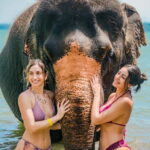 Phuket:Beach walk with elephants, rain & care. 2.5 hours - Why This Tour Offers Real Value