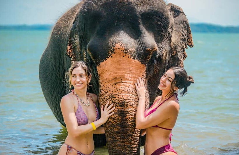 Phuket:Beach walk with elephants, rain & care. 2.5 hours - Why This Tour Offers Real Value