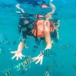 Pig Island (Koh Mudsum) and Koh Tan Tour with Meal from Koh Samui - Who Will Love This Tour?