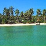 Pig Island ,Snorkeling, Private Long Tail Boat (Local Thai Experience) - Real Experiences from Travelers