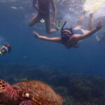 Pigeon Island Snorkeling Tour from Uppuveli Beach - What You Need to Know Before Booking
