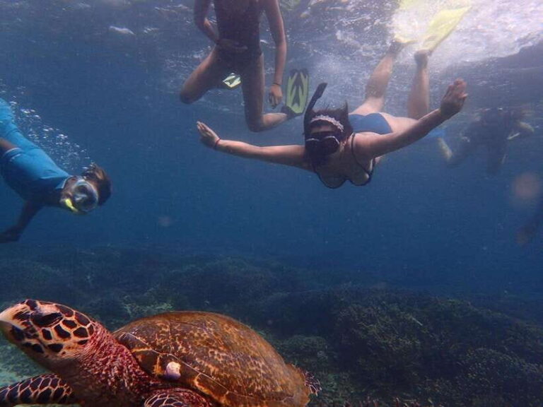 Pigeon Island Snorkeling Tour from Uppuveli Beach - What You Need to Know Before Booking