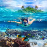 Pigeon Island Snorkeling Tour from Uppuveli Beach - Authentic Experiences and Tips from Reviewers
