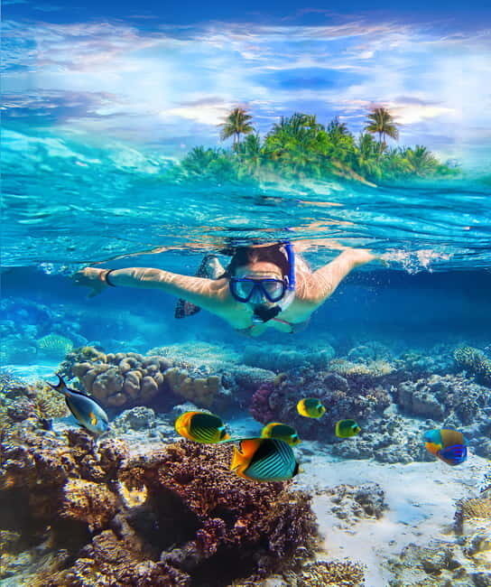 Pigeon Island Snorkeling Tour from Uppuveli Beach - Authentic Experiences and Tips from Reviewers