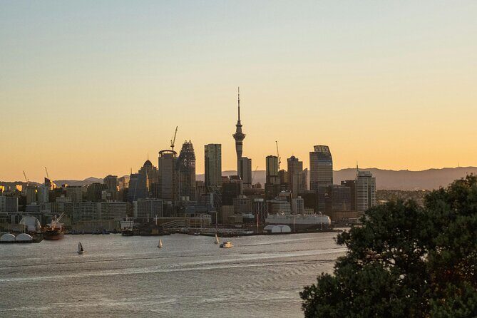 Piha Beach & Wilderness Nature : PRIVATE TOUR 8 hrs - A Closer Look at the Itinerary and Experiences