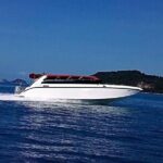 Pink Dolphin & Pig Island with Snorkeling Full Day Experience - Who Should Consider This Tour?