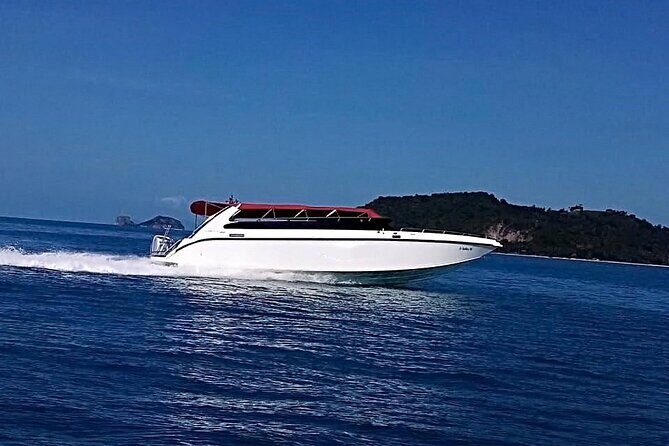 Pink Dolphin & Pig Island with Snorkeling Full Day Experience - Who Should Consider This Tour?