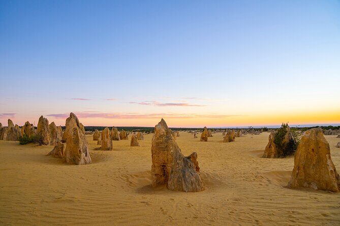 Pinnacles Desert Lobster Tour from Perth - What Makes This Tour Stand Out