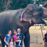 Pinnawala and Kandy Day Tour from Colombo or Negombo - Analyzing the Value