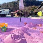 Pocheon Highlights 1 Day Tour - Practical Considerations and Tips