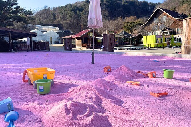 Pocheon Highlights 1 Day Tour - Practical Considerations and Tips