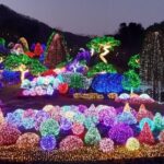 Pocheon: Sanjeong Lake+ Art Valley+Morning Calm garden Tour - Transportation, Guides, and Overall Experience