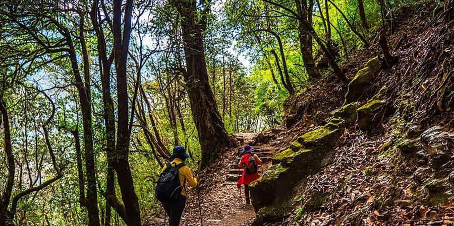 Pokhara: 3-Day Poon Hill Sunrise Trek with Lady Guide - What to Expect on the Tour