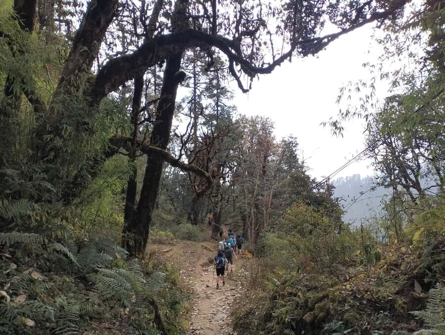 Pokhara: Mulde Hidden Lake, Annapurna Base Camp Adventure - What Makes This Trek Stand Out?