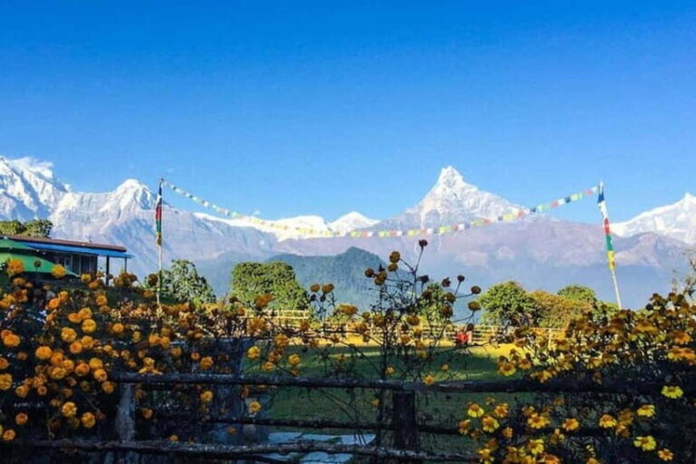 Pokhara: Poon Hill Trek - What Makes This Trek Special?