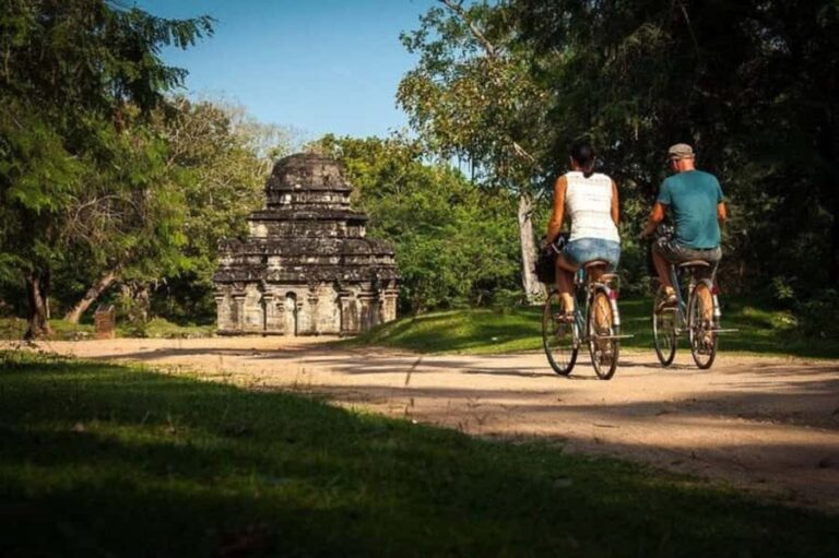 Polonnaruwa Cycling: Paddy-Field Lunch with Eco Park Safari - Who Will Love This Tour?