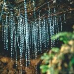 *Popular Tour* - Bay of Islands: Nature Adventure - 4hrs - The Value of This Tour