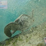 PORT BARTON: Full-day Shared Island Hopping Tour A - Exploring the Island Stops