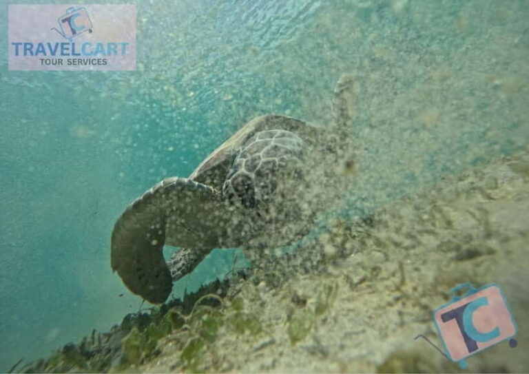 PORT BARTON: Full-day Shared Island Hopping Tour A - Exploring the Island Stops