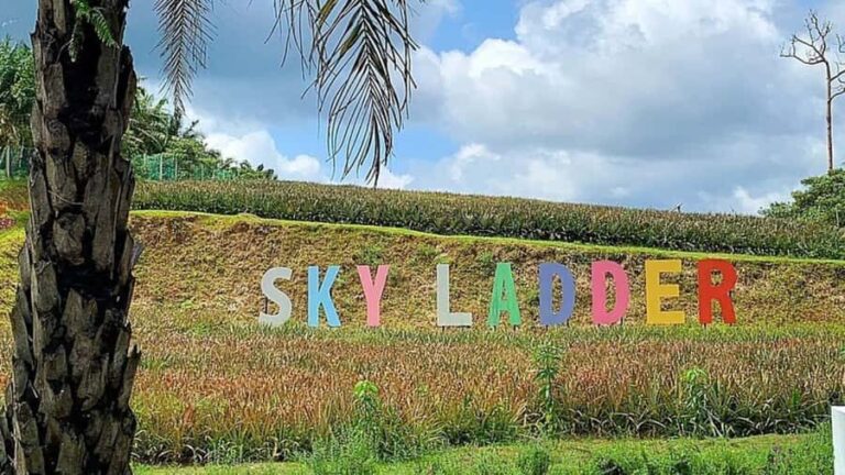 Port Dickson: Sky Ladder Farm, JCK Lake ATV & Jet ski Tour - Practical Details & What You Should Know