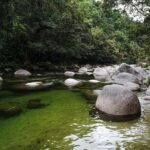 Port Douglas: Best of Daintree Rainforest Day Tour - What Makes This Tour Valuable?
