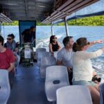 Port Douglas & Daintree Tour for Cruise Ship Passenger - What Makes This Tour Stand Out?