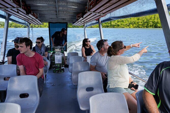 Port Douglas & Daintree Tour for Cruise Ship Passenger - What Makes This Tour Stand Out?