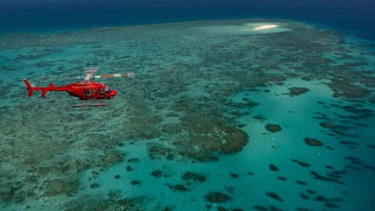 Port Douglas: Great Barrier Reef 30-Minute Helicopter Flight - Wildlife Viewing from the Air
