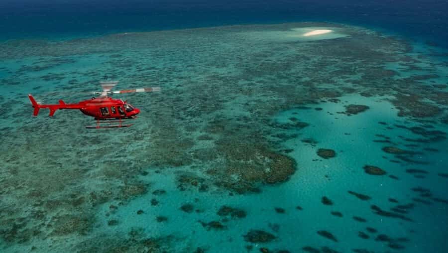 Port Douglas: Great Barrier Reef 30-Minute Helicopter Flight - Wildlife Viewing from the Air