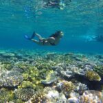 Port Douglas: Outer Barrier Reef Snorkel and Dive Options - What Sets This Tour Apart?