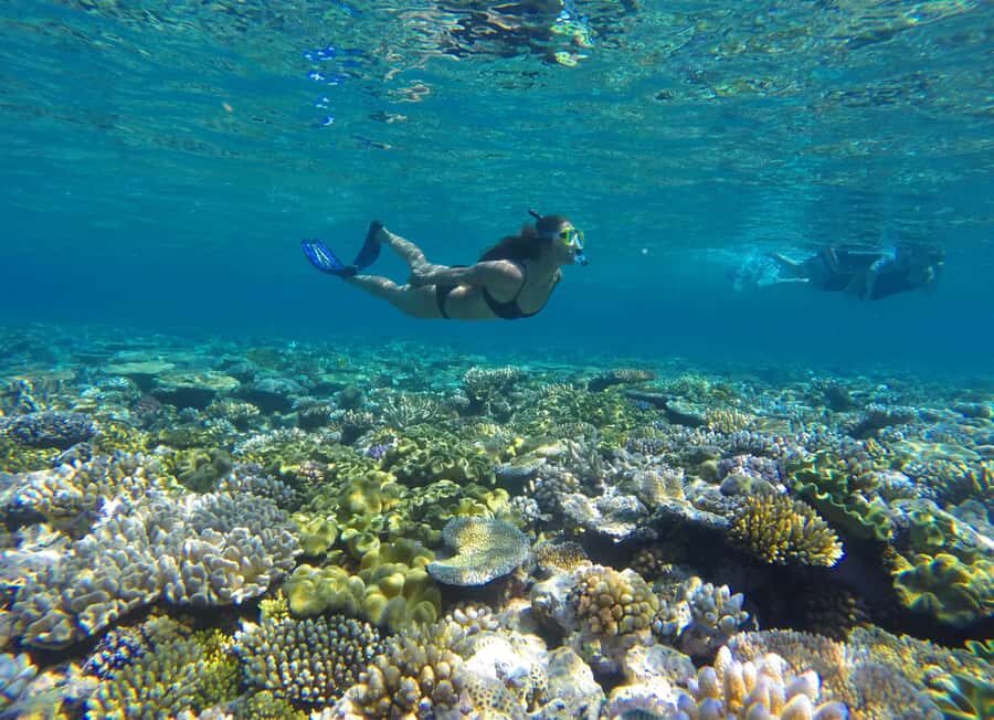 Port Douglas: Outer Barrier Reef Snorkel and Dive Options - What Sets This Tour Apart?