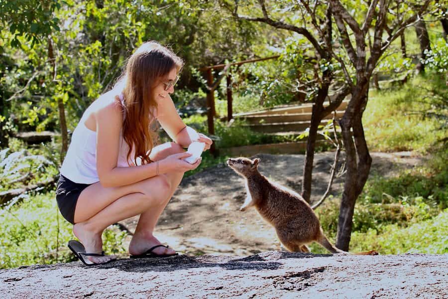 Port Douglas : Private Guide WILDLIFE Safari - What to Expect in Terms of Logistics and Value