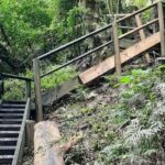 Port Macquarie day tour to Ellenborough Falls & Comboyne Rock - An In-Depth Look at the Port Macquarie to Ellenborough Falls & Comboyne Rock Tour