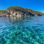 Port Stephens: Dolphin Watch Eco Adventure - The Experience: What Makes It Special