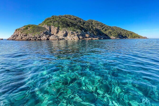Port Stephens: Dolphin Watch Eco Adventure - The Experience: What Makes It Special