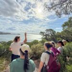 Port Stephens, from Newcastle: Whales, hike & sand dunes! - What Makes This Tour Stand Out