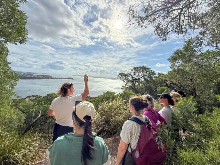 Port Stephens, from Newcastle: Whales, hike & sand dunes! - What Makes This Tour Stand Out