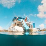 Port Stephens: Splash 'n' Slide Dolphin Cruise - The Sum Up: Who Will Love This Tour?