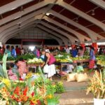 Port Vila Guided Food Tour - Transportation, Group Size, and Overall Comfort