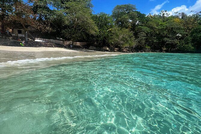 Portland Jamaica Private Day Tour - Who Would Love This Tour?