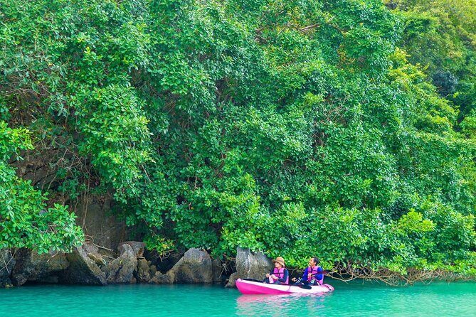 Prasat Hin Pun Yod and Fossil Bay Discovery Tour from Satun - Who Will Love This Tour?