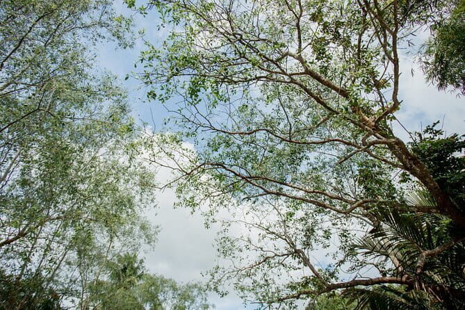 Premium Can Tho Small Canal Tour in Mekong Delta - Why This Tour Offers Good Value