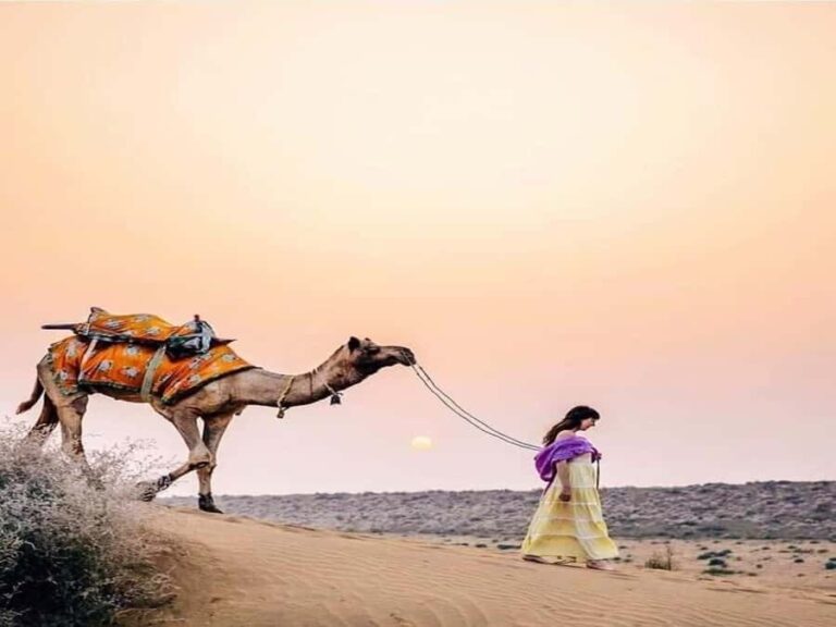 Premium Overnight Desert Safari, Camel Ride & Magical Sunset - Why This Experience Offers Great Value