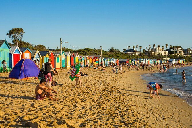 Premium Small Group Philip Island eco Tour - Authentic Encounters and Unique Insights