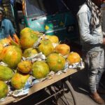 Private 14 Days In-depth India Tour, Daily Start & Exclusive Car - Overall Value and Experience