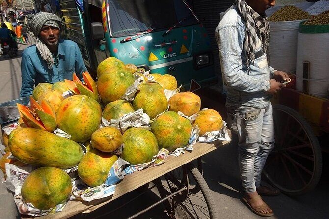 Private 14 Days In-depth India Tour, Daily Start & Exclusive Car - Overall Value and Experience