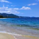 Private 2-Day Tour (16): Wakayama Coast & Kumano Kodo - Who Is This Tour Best For?