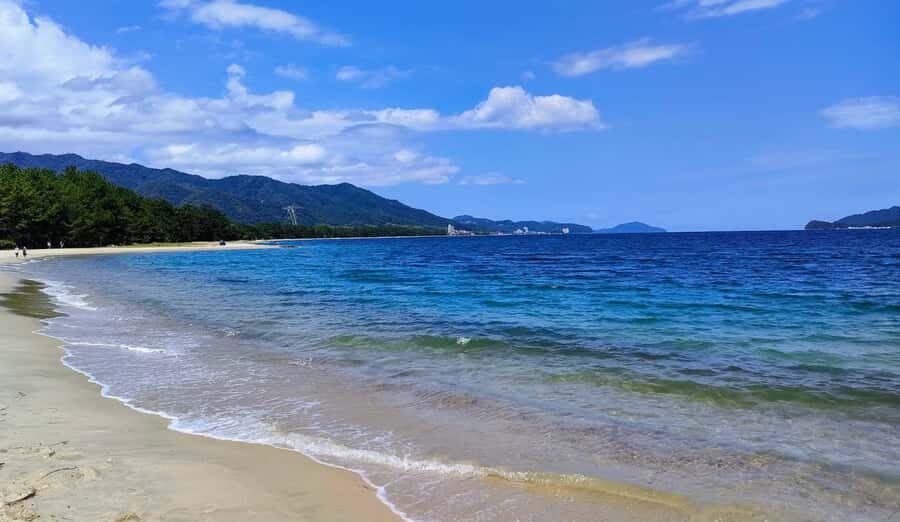 Private 2-Day Tour (16): Wakayama Coast & Kumano Kodo - Who Is This Tour Best For?