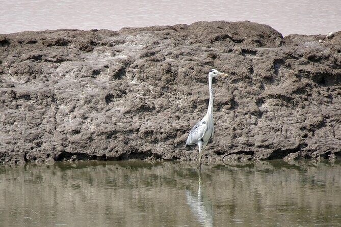 Private 3 Day Adventure through Dholavira and White Desert Rann - Authentic Experiences and Hidden Gems